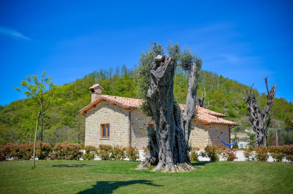 Tenuta Borgo Santa Cecilia غوبيو المظهر الخارجي الصورة