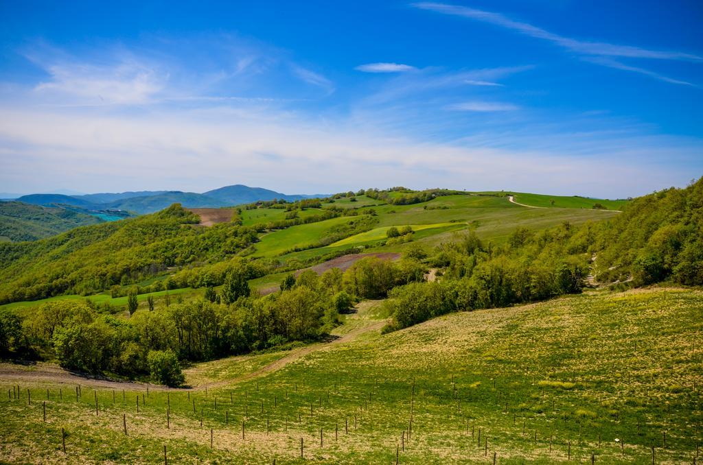Tenuta Borgo Santa Cecilia غوبيو المظهر الخارجي الصورة